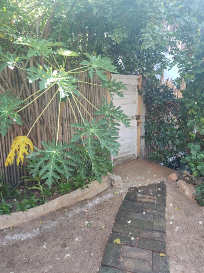 Casa Tonantzin Hotel Zipolite Bagian luar foto
